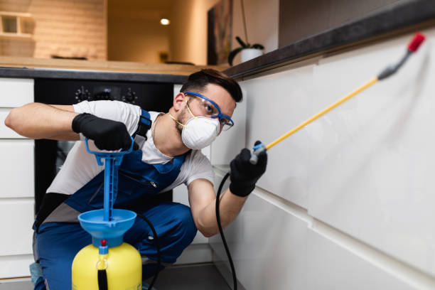 Best Affordable Pest Control Services  in Three Forks, MT