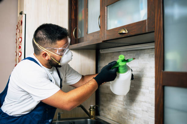 Best Flea Control Services  in Three Forks, MT