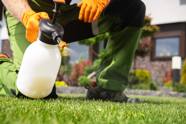 Best Rat Extermination Near Me  in Three Forks, MT
