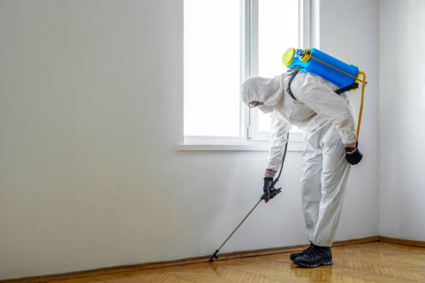 Best Pest Control for Businesses  in Three Forks, MT
