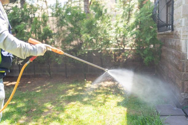 Best Termite Control Services  in Three Forks, MT