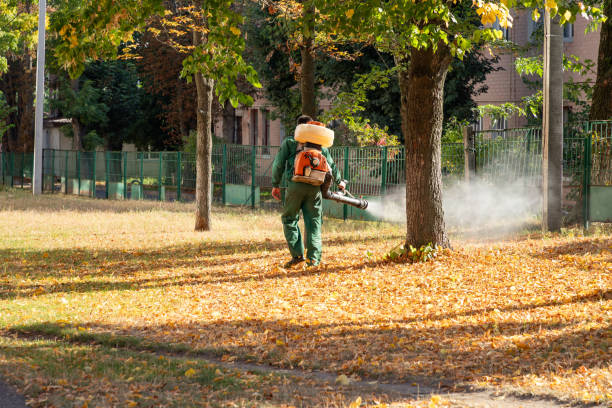 Best Wildlife Control Services  in Three Forks, MT