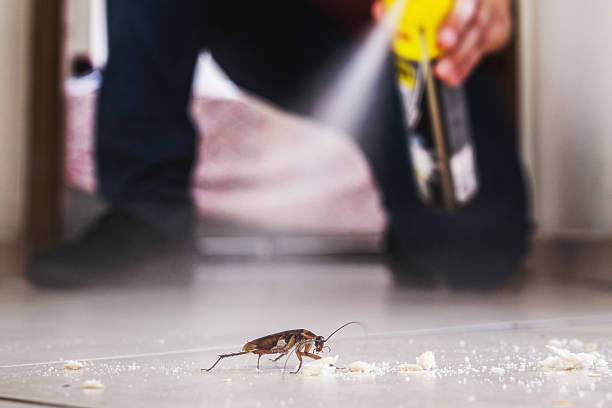 Pest Prevention Services in Three Forks, MT