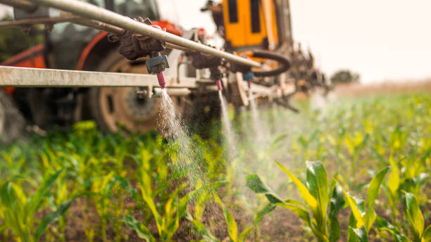 Best Mosquito Control Services  in Three Forks, MT