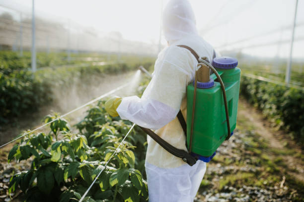 Best Pest Prevention Services  in Three Forks, MT